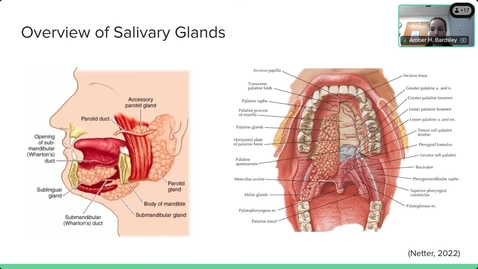 Thumbnail for 8/18/25 Topics in Medicine and Surgery - Salivary Gland Neoplasms - Presented by Amber Bardsley, PA-C