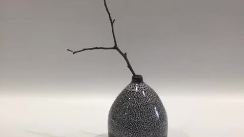 Thumbnail for Ceramics at the Arts Academy