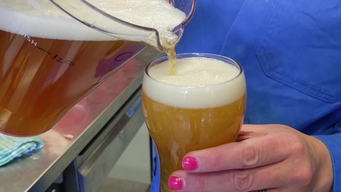 Thumbnail for Science, research and the boom in craft beers