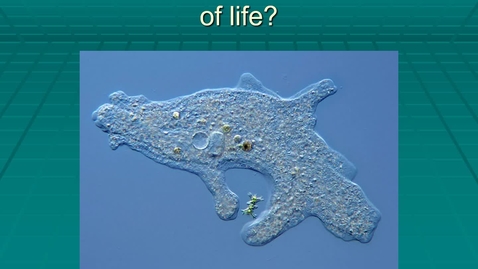 Thumbnail for Module 03.1 What is the smallest unit of life