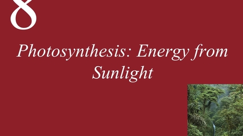 Thumbnail for Ch 8. Photosynthesis Energy from Sunlight