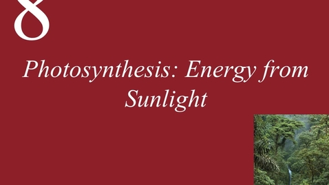 Thumbnail for entry Ch 8. Photosynthesis Energy from Sunlight