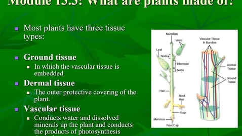 Thumbnail for Module 13.3 A Green World