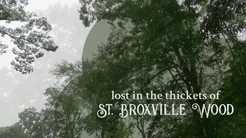 Thumbnail for St. Broxville Wood - Rumbles and Thrums