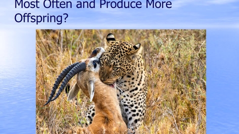 Thumbnail for Module 12.1 Which Organisms Survive Most Often and Produce More Offspring