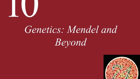 Thumbnail for Ch 10. Genetics Mendel and Beyond