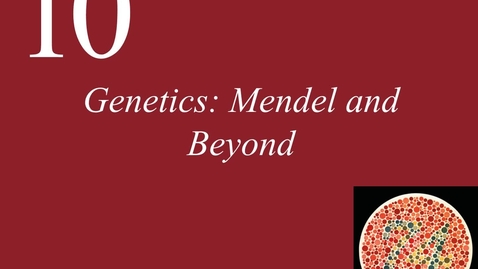 Thumbnail for entry Ch 10. Genetics Mendel and Beyond