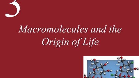 Thumbnail for entry Ch 3. Macromolecules and the Origin of Life