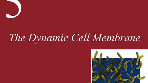 Thumbnail for entry Ch 5. Cell Membranes