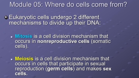 Thumbnail for Module 05.1 Where do cells come from