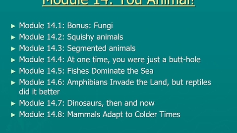 Thumbnail for Module 14.1 You animal!