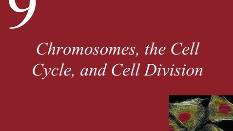 Thumbnail for entry Ch 9. Chromosomes, Cell Cycle, and Cell Division