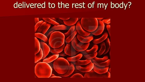 Thumbnail for Module 08.3 Why do I breathe and bleed