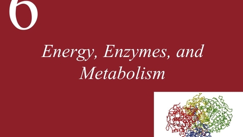 Thumbnail for Ch 6. Enzymes and Metabolism