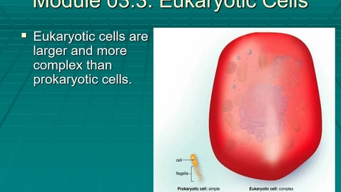 Thumbnail for entry Module 03.3 What is the smallest unit of life