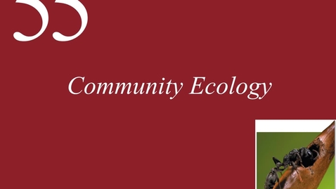 Thumbnail for Ch 55. Community Ecology