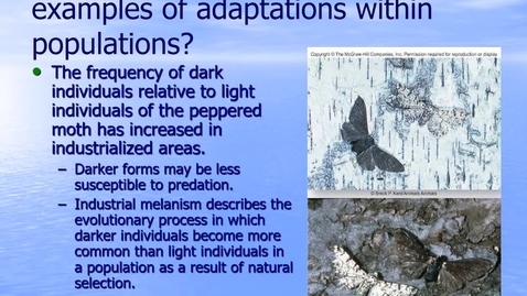 Thumbnail for Module 12.4 Which Organisms Survive Most Often and Produce More Offspring