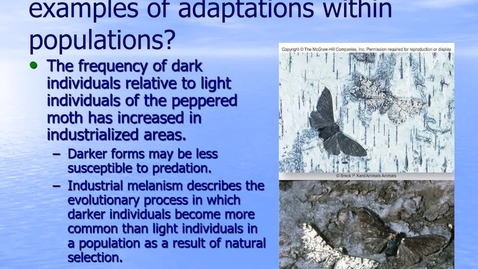 Thumbnail for entry Module 12.4 Which Organisms Survive Most Often and Produce More Offspring