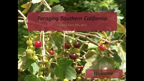 Thumbnail for entry Douglas Kent - Foraging Southern California (DELETE)
