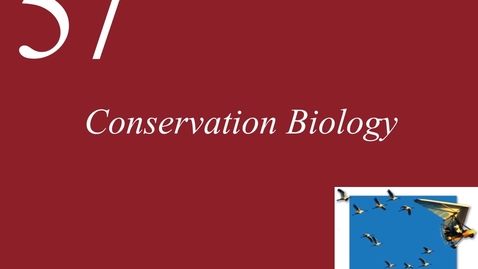Thumbnail for Ch 57. Conservation Biology
