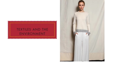 Thumbnail for AMM 3600 Textiles and the Environment