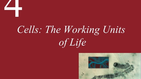 Thumbnail for Ch 4. Cells Fundamental Units of Life