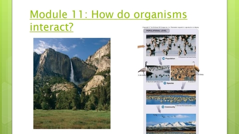 Thumbnail for Module 11.1 How do organisms interact