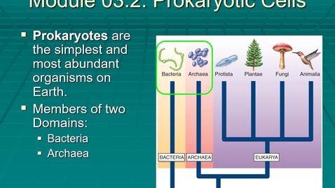 Thumbnail for Module 03.2 What is the smallest unit of life