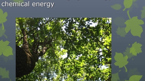 Thumbnail for Module 04.2 How do living things obtain energy