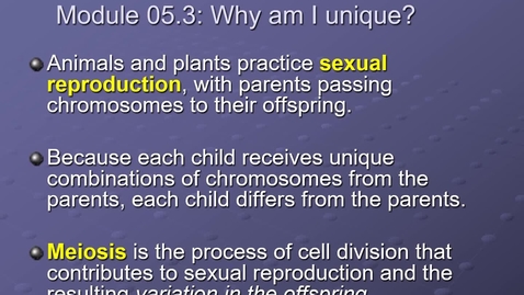 Thumbnail for Module 05.3 Where do cells come from