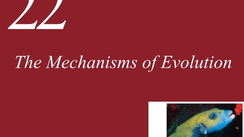Thumbnail for Ch 22. Mechanisms of Evolution