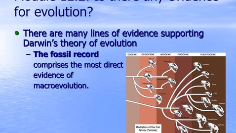 Thumbnail for entry Module 12.2 Which Organisms Survive Most Often and Produce More Offspring