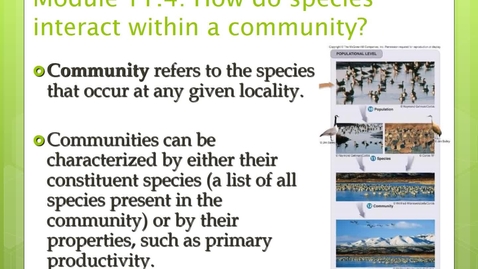 Thumbnail for Module 11.4 How do organisms interact