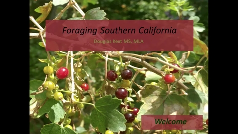 Thumbnail for Douglas Kent - Foraging Southern California