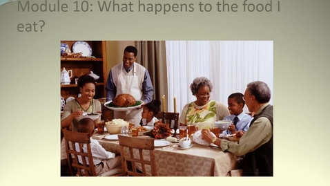 Thumbnail for Module 10.1 What happens to the food I eat