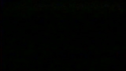 Thumbnail for AmericanTongues-245