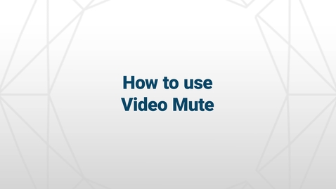 Thumbnail for entry Video Mute