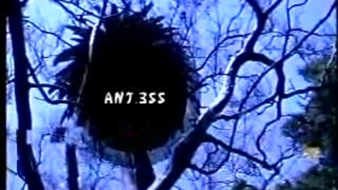 Thumbnail for ANT355-021108-245