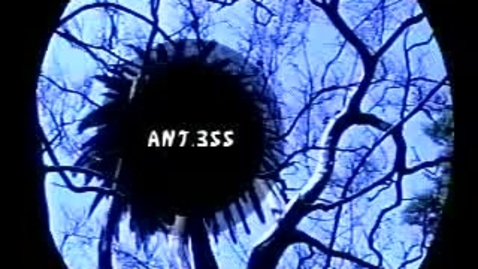 Thumbnail for ANT355-020927-245