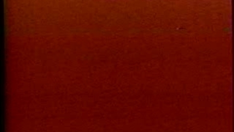 Thumbnail for TheArtofLiving-245