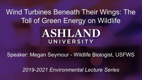 Thumbnail for entry Wind Turbines Beneath Their Wings: The Toll of Green Energy on Wildlife -