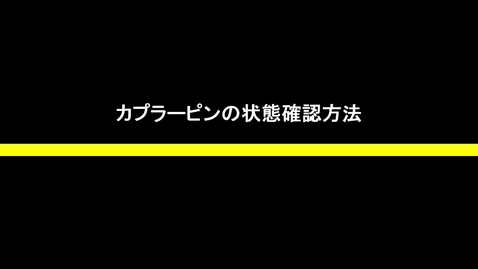 Thumbnail for カプラピン確認