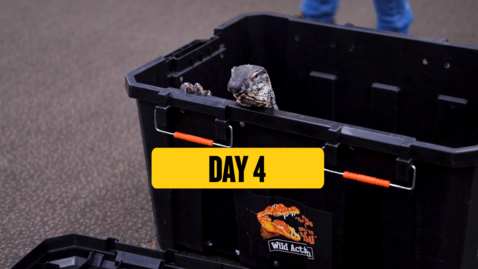Thumbnail for DAY 4 RECAP DTAP 45