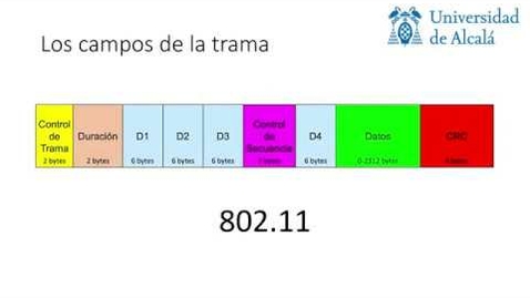 Miniatura para Estructura de la Trama Wifi