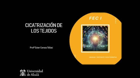 Miniatura para 2.Píldora_FECI_cicatrización_PBL2