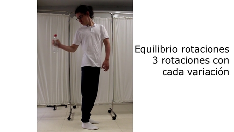 Miniatura para Equilibrio con rotaciones