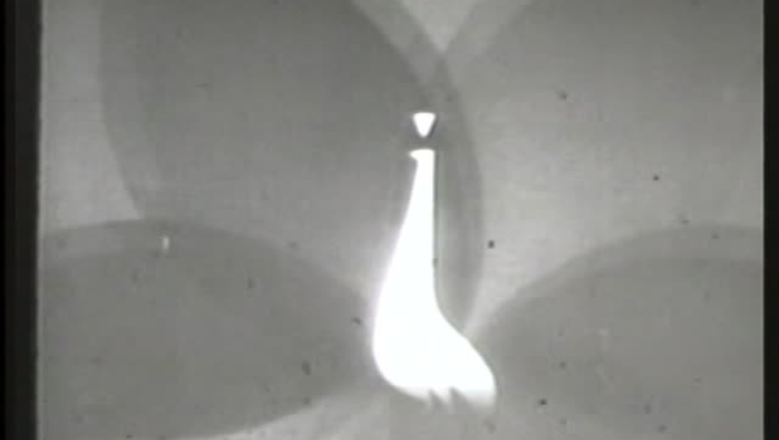 Johnston Documentary (c. 2004)
