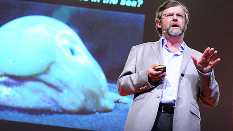 Thumbnail for Paul Snelgrove: A census of the ocean - Quiz