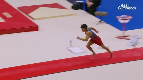 Thumbnail for Jake Jarman's Impressive Vault Performance