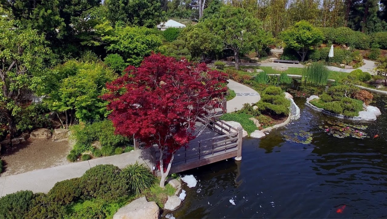 Japanese Garden